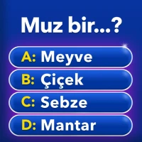 Milyoner - Türkçe Test Oyunu