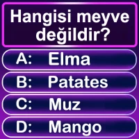 Soru Cevap Eğlencelik Bilgi