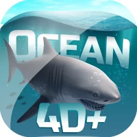 Ocean 4D+