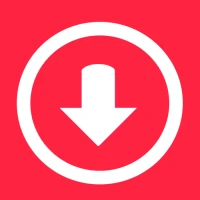 Story Saver : Video Downloader