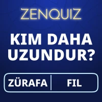 Beynini eğit: Trivia Zen Quiz