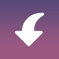 Insget - Video & Story Saver